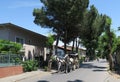 Horse Carriage on Buyukada Island - part of Prince Islands - near Istanbul, Turkey