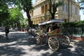 Horse Carriage on Buyukada Island - part of Prince Islands - near Istanbul, Turkey