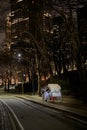 Horse carriage in central park at night Royalty Free Stock Photo