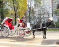 Horse and Carriage, Central Park, New York Royalty Free Stock Photo