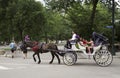 Horse and carriage in Central Park New York USA Royalty Free Stock Photo