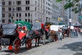 Horse and carriage at Central Park, NYC Royalty Free Stock Photo