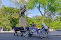 Horse and carriage at Central Park, NYC Royalty Free Stock Photo