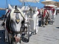 Horse and carriage, Chania, Crete