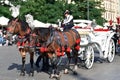 Horse carriage for city sightseeing tours in Krakow