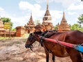 Horse carriage and Daw Gyan Pagoda complex, Ava, Myanmar 1