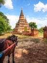 Horse carriage and Daw Gyan Pagoda complex, Ava, Myanmar 4 Royalty Free Stock Photo