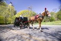 Horse and carriage drives through Central Park Manhattan, New York City, New York Royalty Free Stock Photo