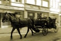 Horse carriage driving