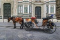 Horse carriage at the Duomo Cathedral in Florence, Italy waiting for tourists Royalty Free Stock Photo