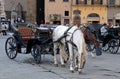 Horse carriage in Florence