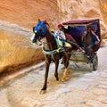 Horse carriage in a gorge, Siq canyon in Petra