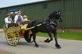 Horse and carriage