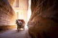 Horse carriage making it`s way through the Siq or Siqit, narrow gorge ending at Al Khazneh, the treasury.