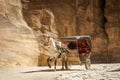 Horse carriage making it`s way through the Siq or Siqit, narrow gorge ending at Al Khazneh