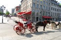 Horse Carriage in Montreal