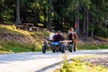 Horse carriage on mountain road in Bihor, Romania, 2021