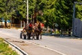Horse carriage on mountain road in Bihor, Romania, 2021