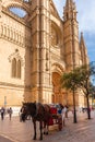 Horse carriage near La Seu, the gothic cathedral de Palma de Mallorca on the Island of Mallorca, Royalty Free Stock Photo