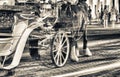 Horse carriage at night with tourists. Holiday concept