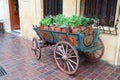 Horse carriage Royalty Free Stock Photo