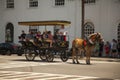 Horse carriage operated by the Old South Carriage Company