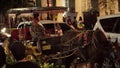 Horse carriage parked on the side of Malioboro street at night