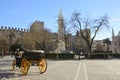 Horse carriage at Plaza del triunfo