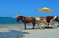 Horse with a carriage in the port of the old town of Chania, Crete, Greece Royalty Free Stock Photo