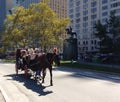 Horse and Carriage Rides in Central Park, NYC, NY, USA Royalty Free Stock Photo