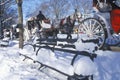 Horse carriage ride in Central Park, Manhattan, New York City, NY after winter snowstorm Royalty Free Stock Photo