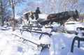 Horse carriage ride in Central Park, Manhattan, New York City, NY after winter snowstorm Royalty Free Stock Photo