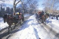 Horse carriage ride in Central Park, Manhattan, New York City, NY after winter snowstorm Royalty Free Stock Photo