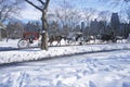 Horse carriage ride in Central Park, Manhattan, New York City, NY after winter snowstorm