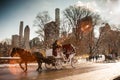 Horse Carriage Ride Central Park NYC Royalty Free Stock Photo