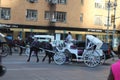 Horse Carriage Rides at central park New york Royalty Free Stock Photo