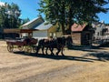 Horse and Carriage in Barkerville.