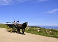 Horse carriage in Sark