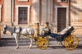 Horse carriage in Seville, Andalusia