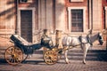 Horse carriage in Seville, Andalusia Spain