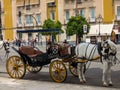 Horse carriage in Seville, Andalusia, Spain