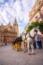 Horse carriage in Seville, the Giralda cathedral in the background, Andalusia