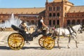 Horse carriage in Seville, plaza de Espana in the background, Andalusia, Spain.