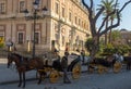 Horse carriage in Seville waiting for customers