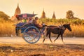 Horse carriage at Shwesandaw temple at the archaeological site of Bagan, Myanmar