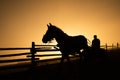 Horse and carriage silhouette in the cold morning in mountain countryside in Romania