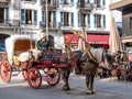 Horse carriage for site seeing service at Chamonix Mont Blanc