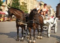 Horse carriage on a Square Market, Krakow