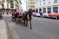 Horse and carriage on the streets of Havana
