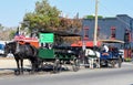 Horse and carriage tour around Charleston, South Carolina.